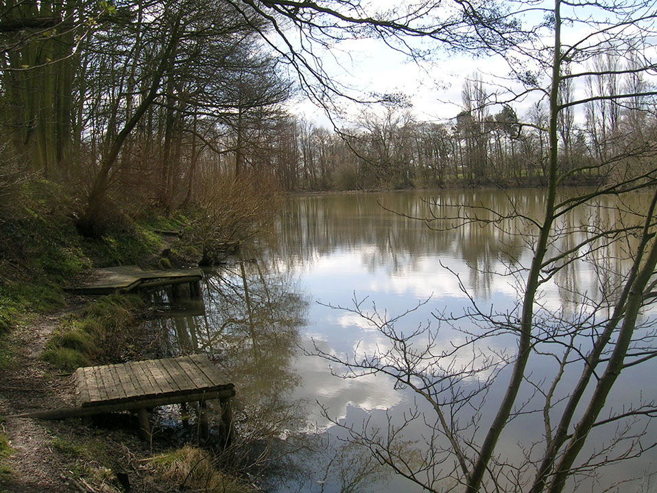 bottom pond 006