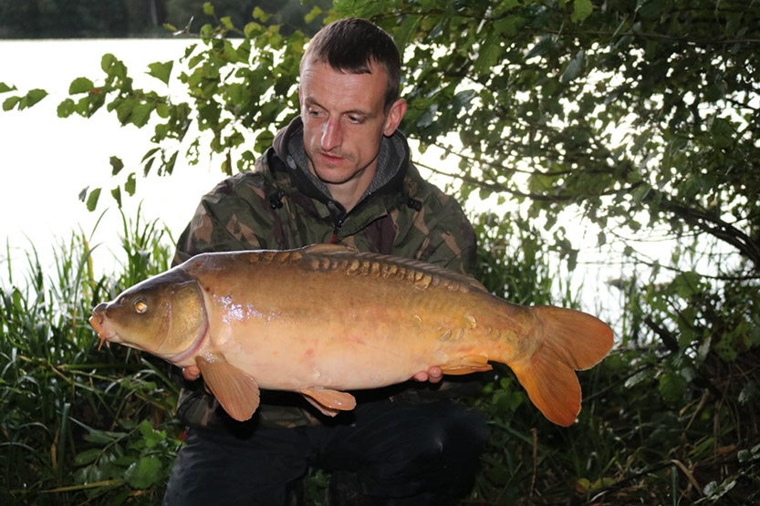 Dugout Mirror. September 2018