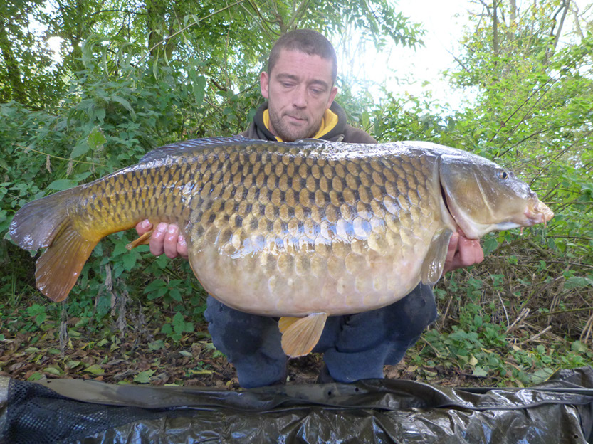 36lb Scruffy Common. Jungle Point. October 2014 (2)