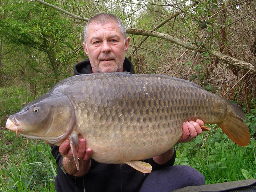 33lb 8oz C Scale Common. April 2017. Shallows