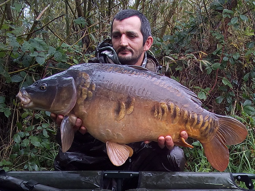 17lb 8oz. October 2019. Teabag (10