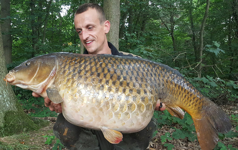 31lb Crocodile Common. July 2016