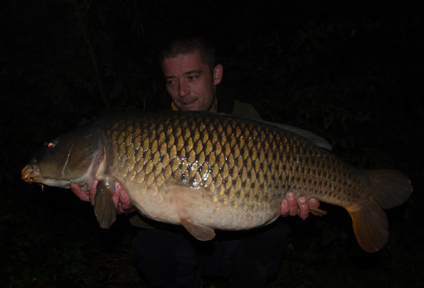 29lb (Jungle Point)