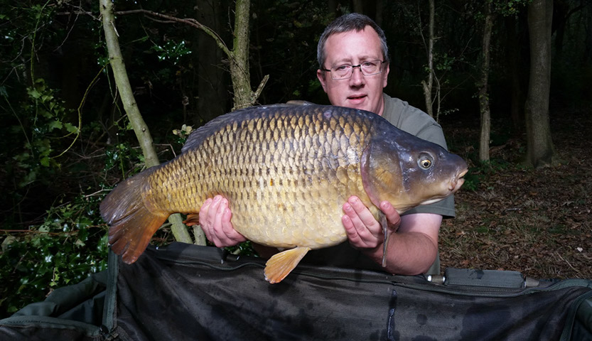 25lb Baby Fat Common