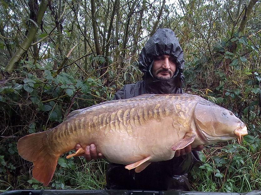 29lb 4oz Big Lin. October 2019. Teabag