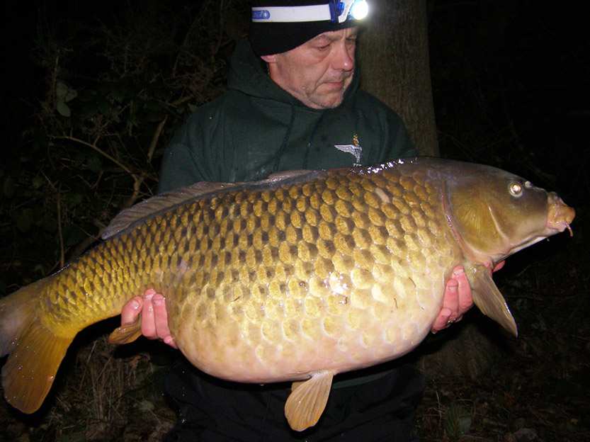 34lb 7oz Scruffy Common (Mini Dugout)