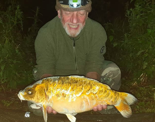 Scaly Koi. June 2019