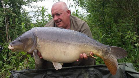 27lb Grey Mirror (Teabag). June 2014