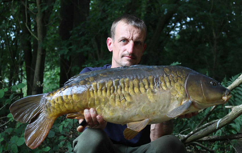 Scaly Mirror. July 2018