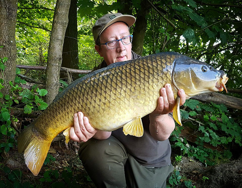 BH double-f Common. August 2017