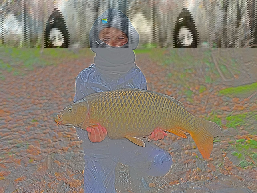 High-double Common. November 2024