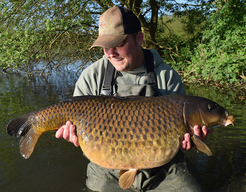 34lb 9oz. May 2015. Jungle Point