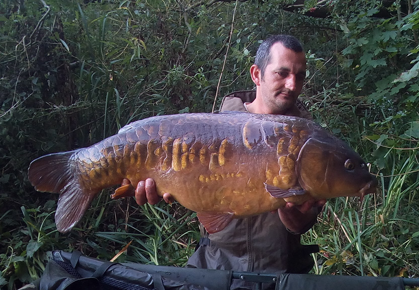 Scaly Twenty. September 2020. Peg 6