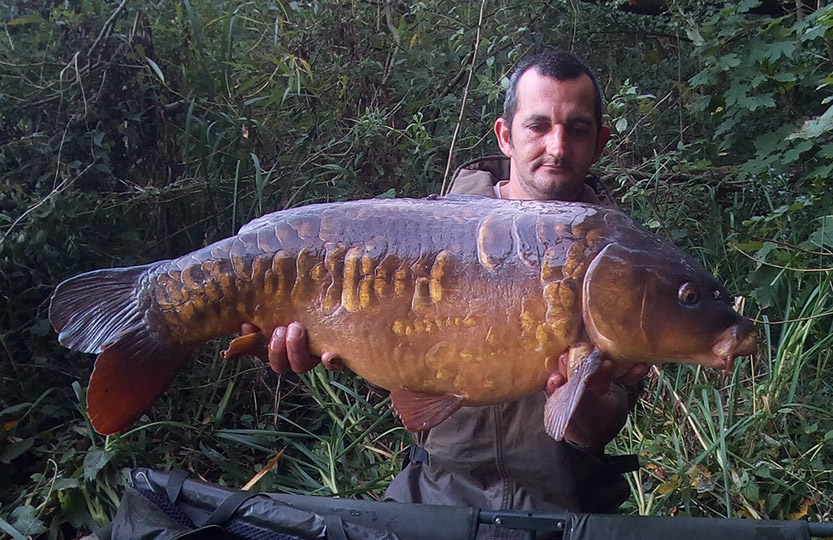 Scaly Twenty. September 2020. Peg 6 (2)