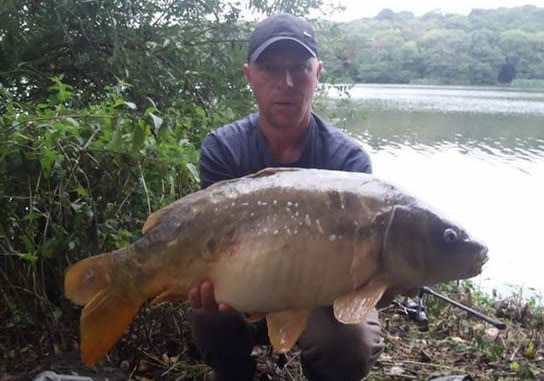 Jungle Point Mirror. August 2018