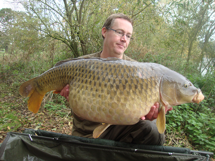 31lb 15oz Scruffy Common