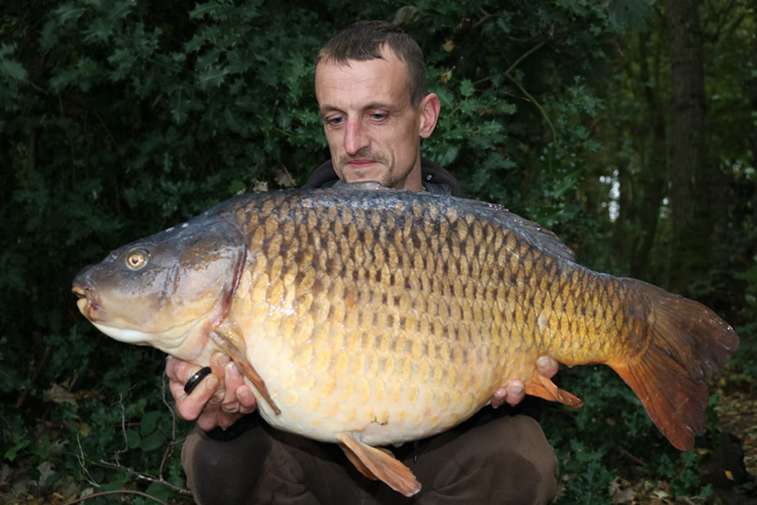 28lb Fat Common. October 2018 (2)