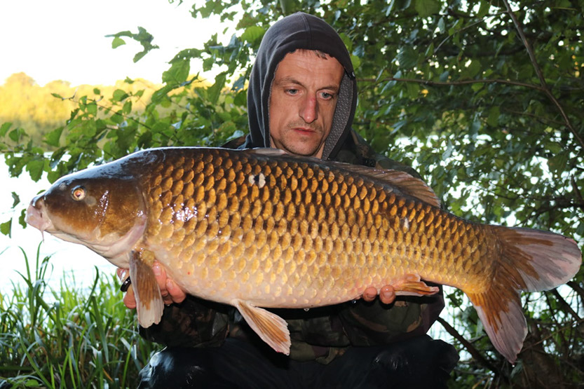 20lb Mini-Coroporal. September 2018