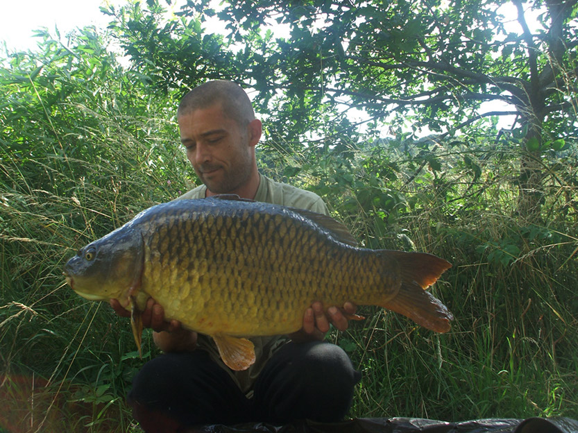 24lb (5)