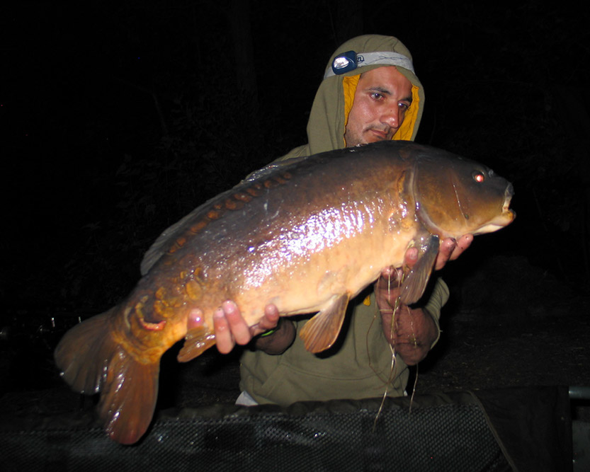 20lb 8oz. July 2015. Arena