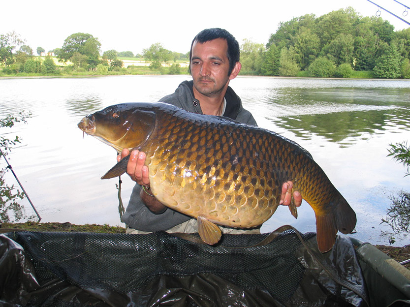32lb 8oz Crocodile Common. June 2015. Arena
