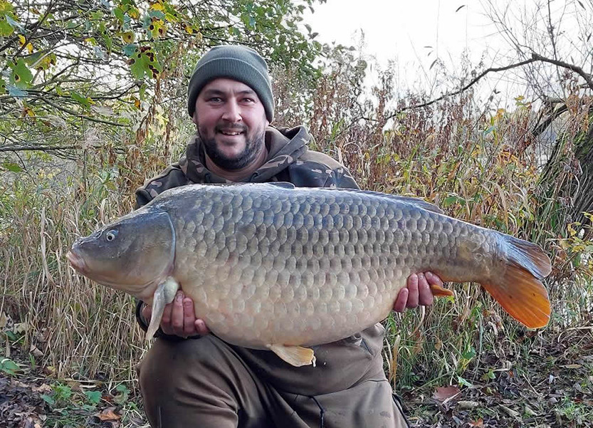 37lb C Scale Common. November 2022