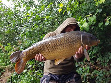 20lb+ Common. September 2017