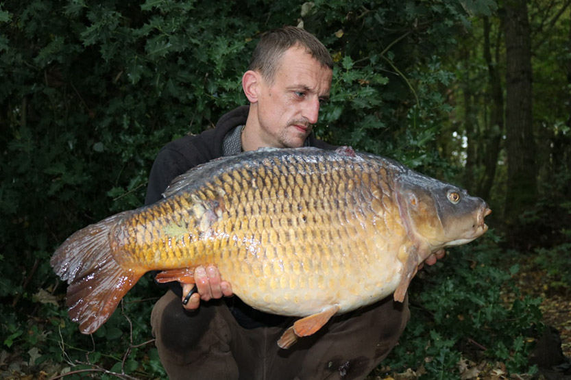 28lb Fat Common. October 2018