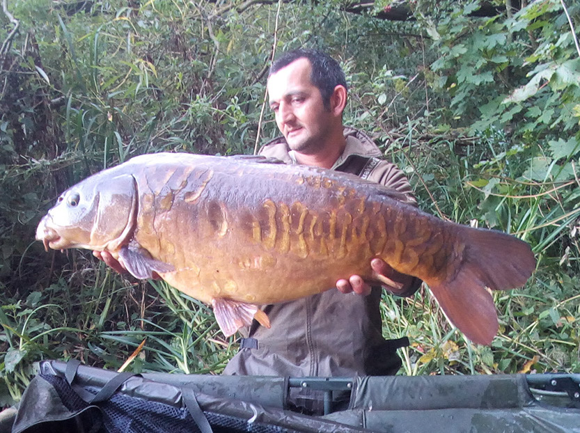 Scaly Twenty. September 2020. Peg 6 (4)