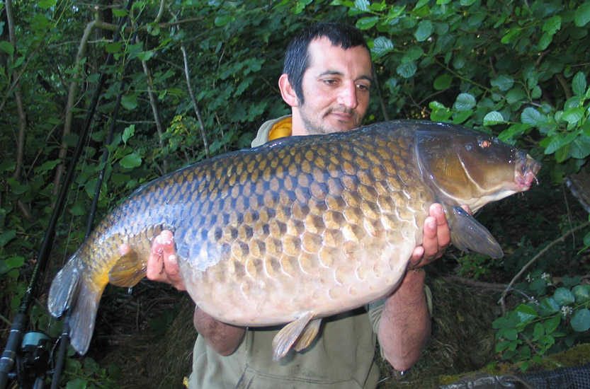 32lb 8oz Crocodile Common. July 2015. Arena