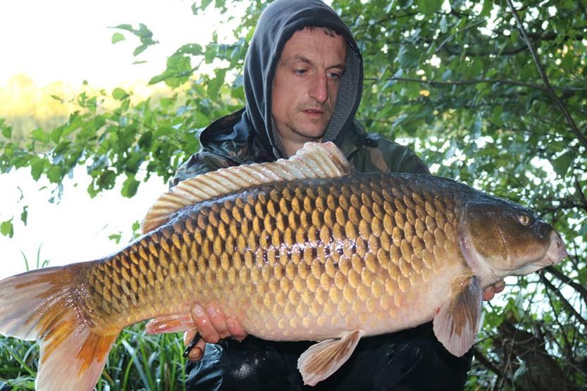 20lb. September 2018