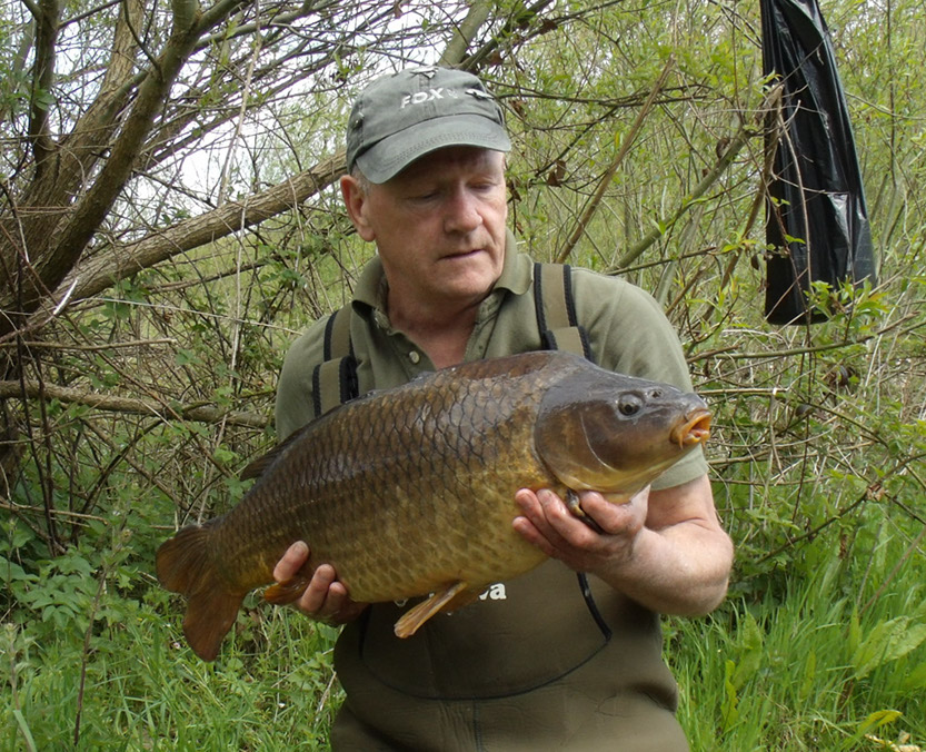 17lb 3oz. May 2018. Teabag