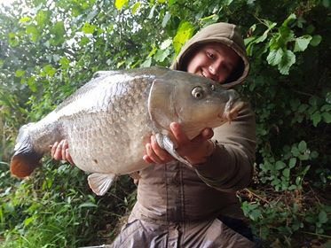 20lb Silver Common. September 2017