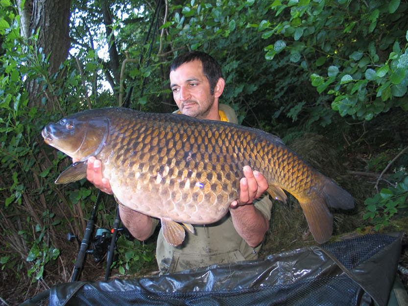 32lb 8oz Crocodile Common. July 2015. Arena (2)