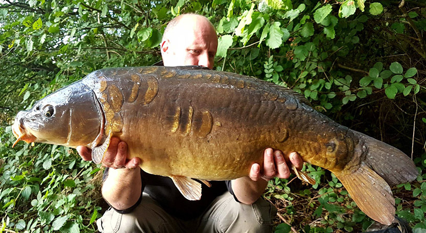 23lb 14oz Apple Slice Mirror. September 2017