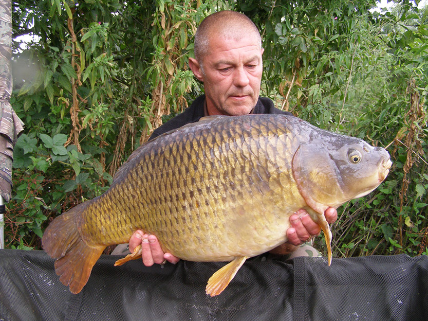 24lb 12oz Little Fat Common (Goose Point)