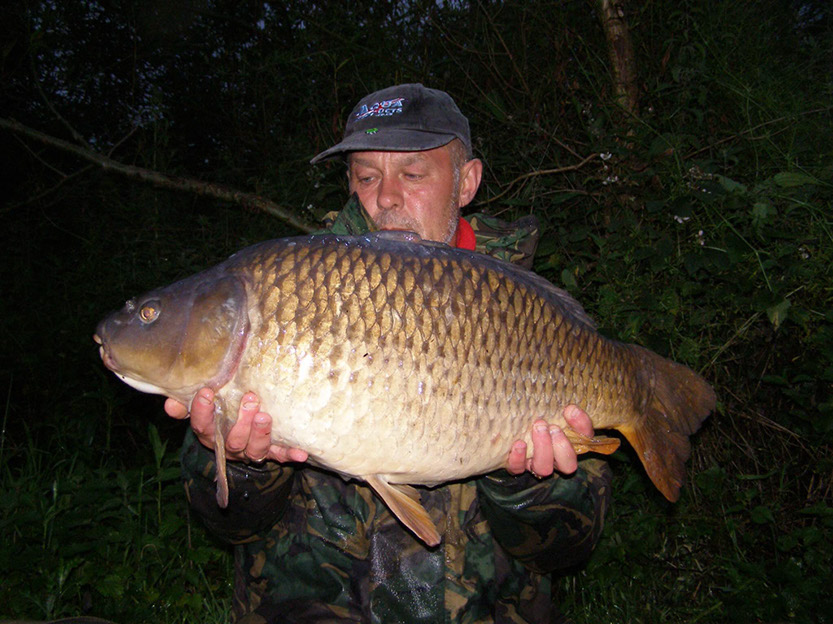 24lb Baby Fat Common. July 2016