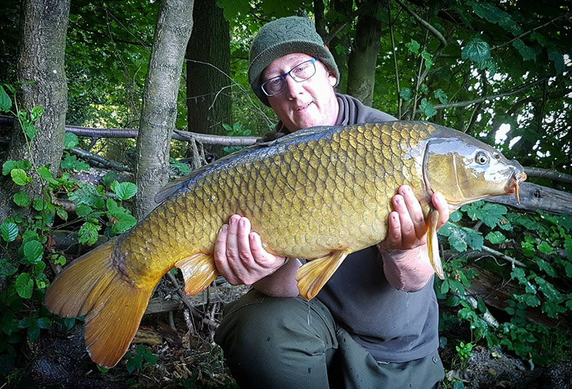 BH double-f Common (3). August 2017