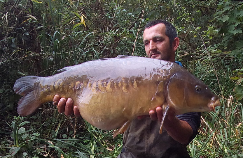 22lb. September 2020. Peg 6 (2)