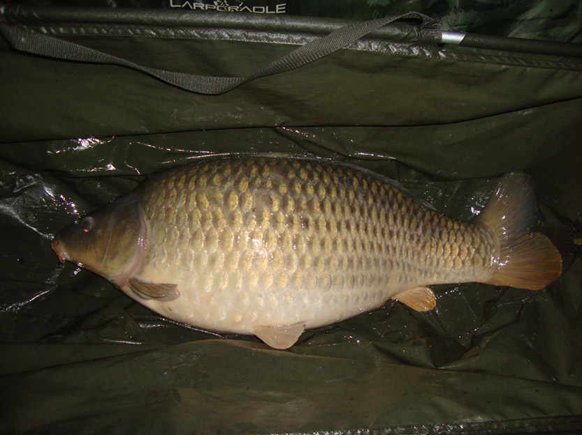 22lb 12oz. December 2015 (1)