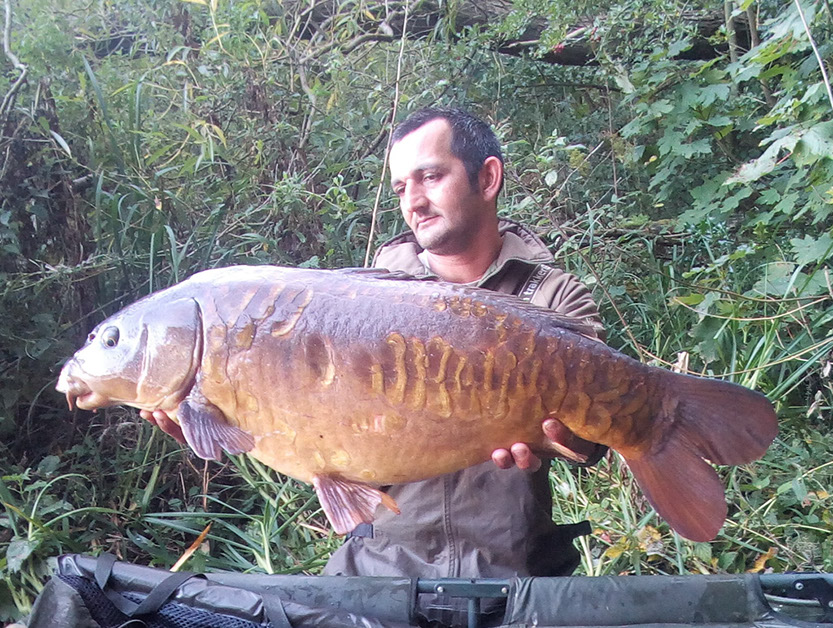 Scaly Twenty. September 2020. Peg 6 (3)