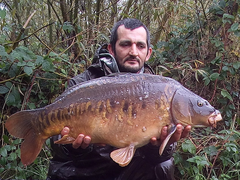 17lb 8oz. October 2019. Teabag