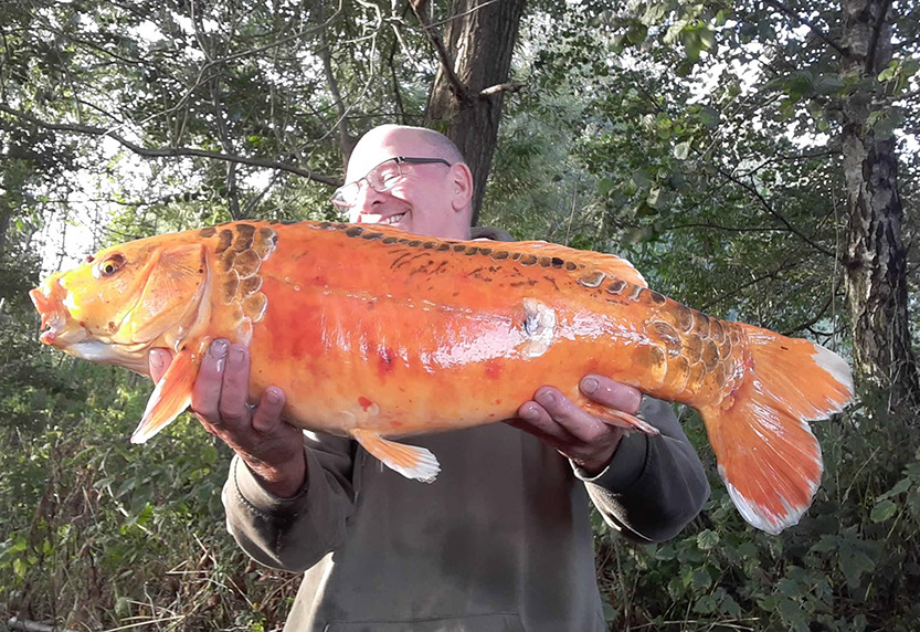 14lb 8oz. September 2022. Goose Point