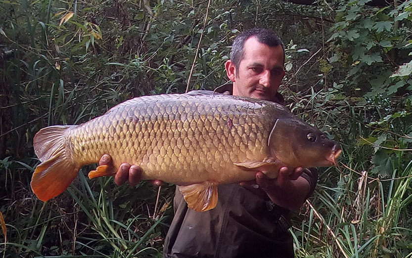 20lb+. September 2020. Peg 6