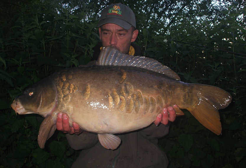 Stunning Mirror (Weedy Bay)