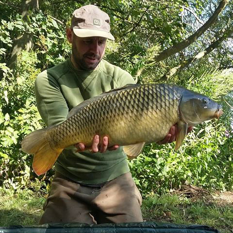 Field side Common. August Bank Holiday 2018