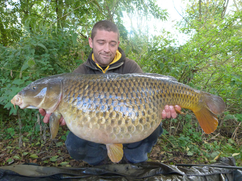 36lb Scruffy Common. Jungle Point. October 2014