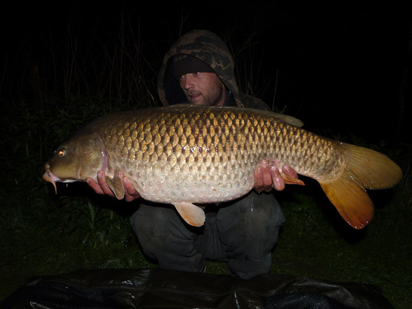 28lb 8oz (Stalker Swim)