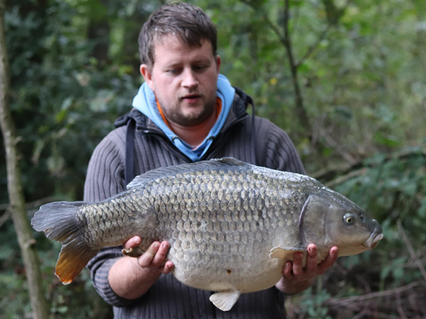 Silver Common. October 2018