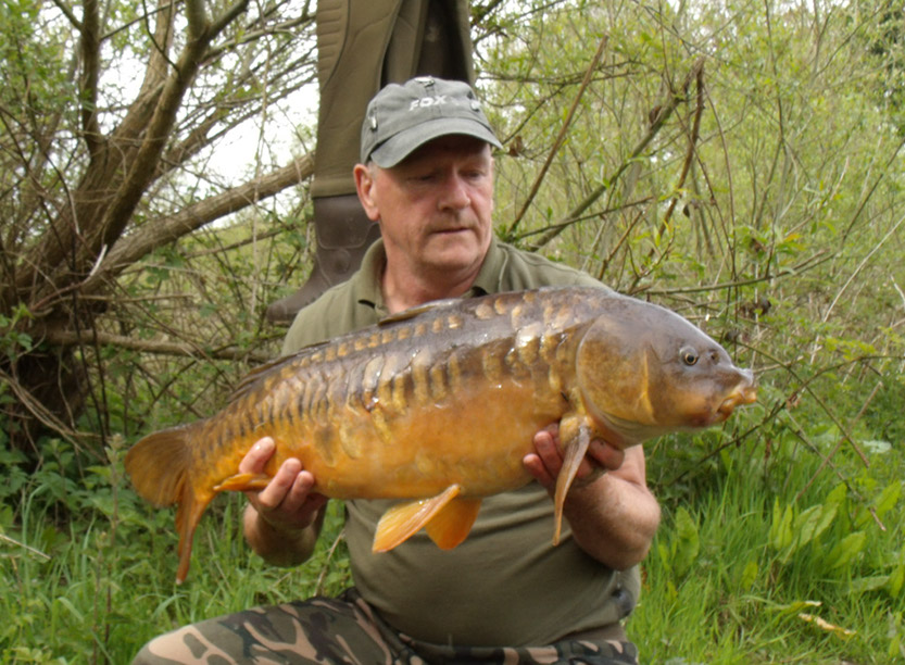 19lb 12oz. May 2018. Teabag